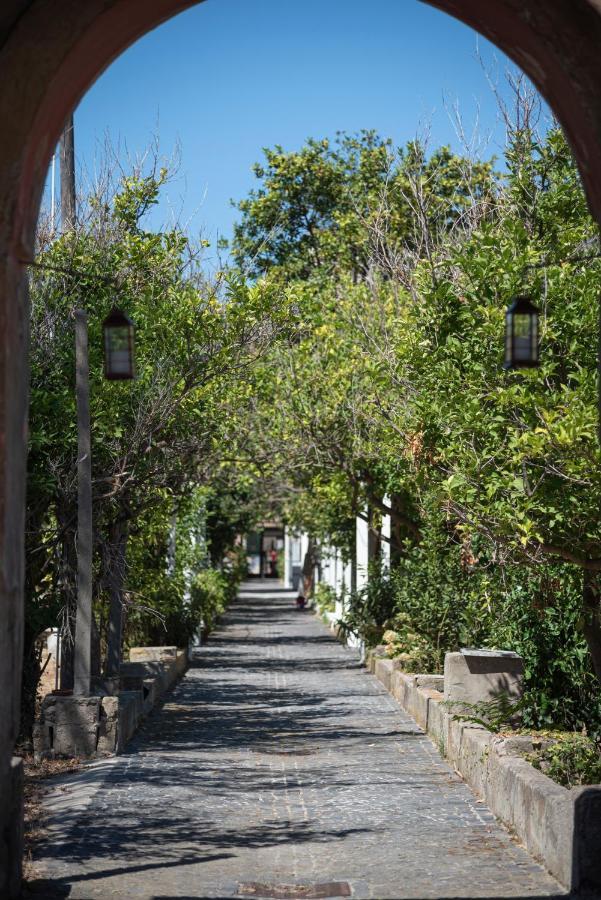 بروسيدا Controvento In Villa Eldorado المظهر الخارجي الصورة